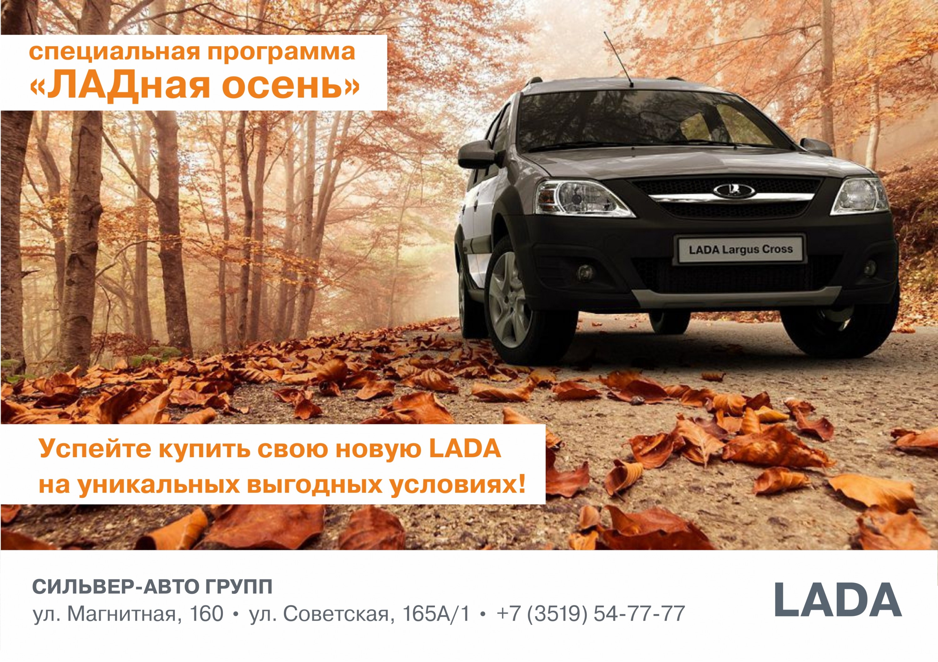 Программа «ЛАДная осень»